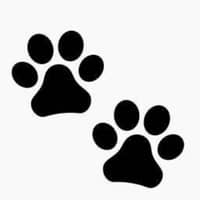 Sitter Profile Image: Melissa H.