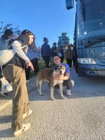 Sitter Profile Image: William M.