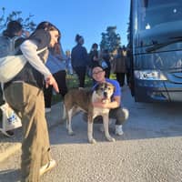 Sitter Profile Image: William M.