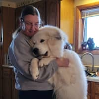 Sitter Profile Image: Vanessa L.