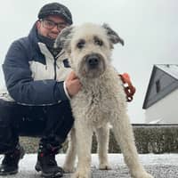 Sitterprofilbild: Iván R.