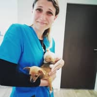 Photo de profil du pet sitter : Maëva C.