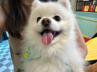 Sitter Profile Image: Grace C.