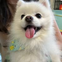 Sitter Profile Image: Grace C.