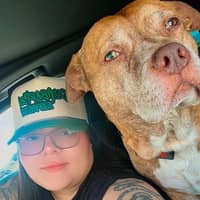 Sitter Profile Image: Linett H.