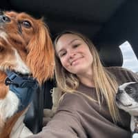 Sitter Profile Image: Alyssa R.