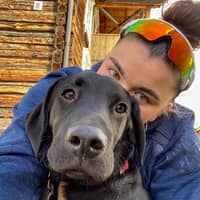 Profilbilde av hundepasser: Ingrid S.