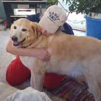 Sitter Profile Image: Kelly M.