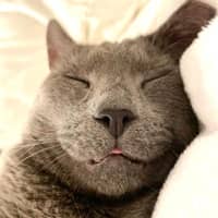 Sitter Profile Image: Mary D.