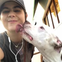 Sitter Profile Image: Briana C.