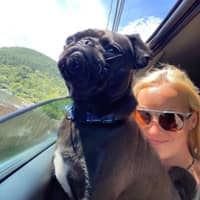 Sitter Profile Image: Eliza D.