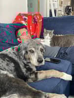 Sitter Profile Image: Benjamin U.