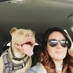 Sitter Profile Image: Jennifer w.