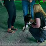 Sitter Profile Image: Kamryn O.