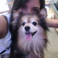 Foto del cuidador: Olga T.