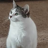 Sitter Profile Image: Autumn H.