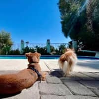 Sitter Profile Image: Huan M.