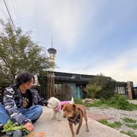 Sitter Profile Image: Huan M.