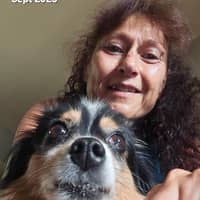 Sitter Profile Image: Norma S.