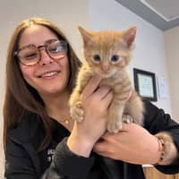 Sitter Profile Image: erika D.