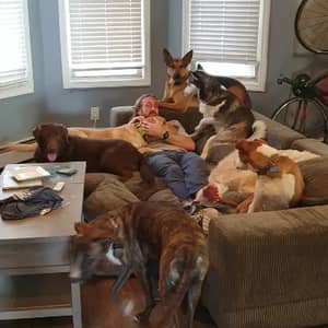 Sitter Profile Image: Shawn D.