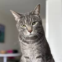 Sitter Profile Image: Pia M.