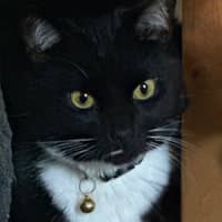 Sitter Profile Image: Pia M.