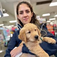 Sitter Profile Image: Adri F.