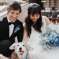 Sitter Profile Image: Caitlin Y.