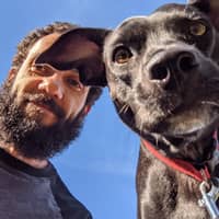 Sitter Profile Image: George K.