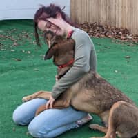 Sitter Profile Image: Sarah K.