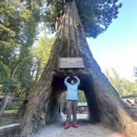 Sitter Profile Image: byron c.