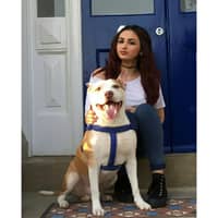 Sitter Profile Image: Karen R.