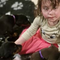 Profilbilde av hundepasser: marianne o.