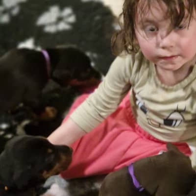 Profilbilde av hundepasser: marianne o.