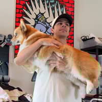 Sitter Profile Image: Nicholas S.