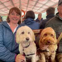 Sitter Profile Image: Lynn F.