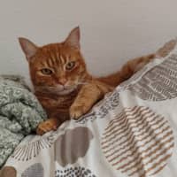 Foto del cuidador: Jairo Alberto H.