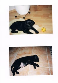 Image 0