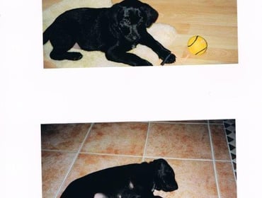 Image 0