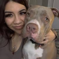 Sitter Profile Image: Alyana L.