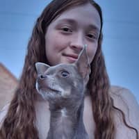 Photo de profil du pet sitter : Ilona D.