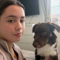 Sitter Profile Image: Jorja F.