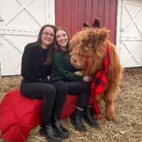 Sitter Profile Image: Megan & Maddy G.