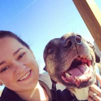 Sitter Profile Image: Brooke C.