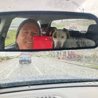 Sitter Profile Image: David C.