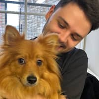 Sitter Profile Image: Dan C.