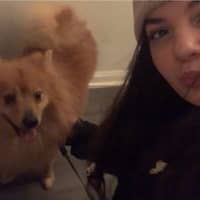 Sitter Profile Image: Sienna K.