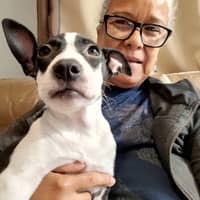 Sitter Profile Image: Bielka Q.