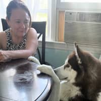 Sitter Profile Image: LUZ G.